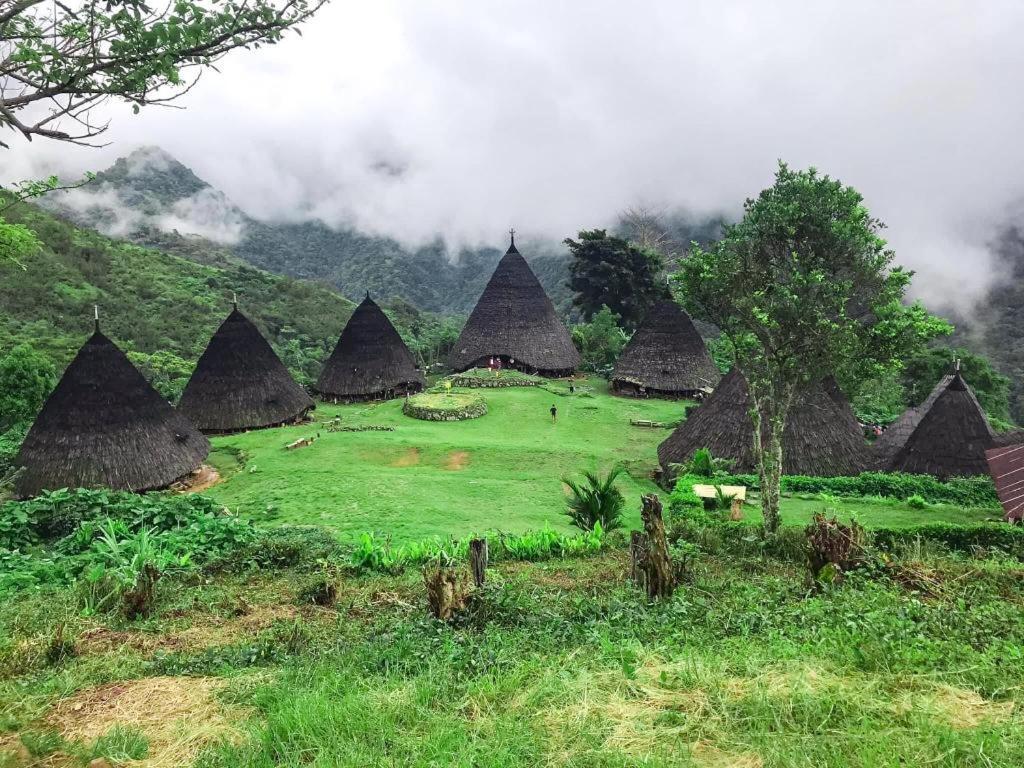 Komodoku One Love Homestay And Tour Labuan Bajo Exterior photo